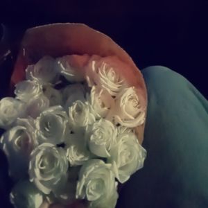 Meet your Posher, Elaiza